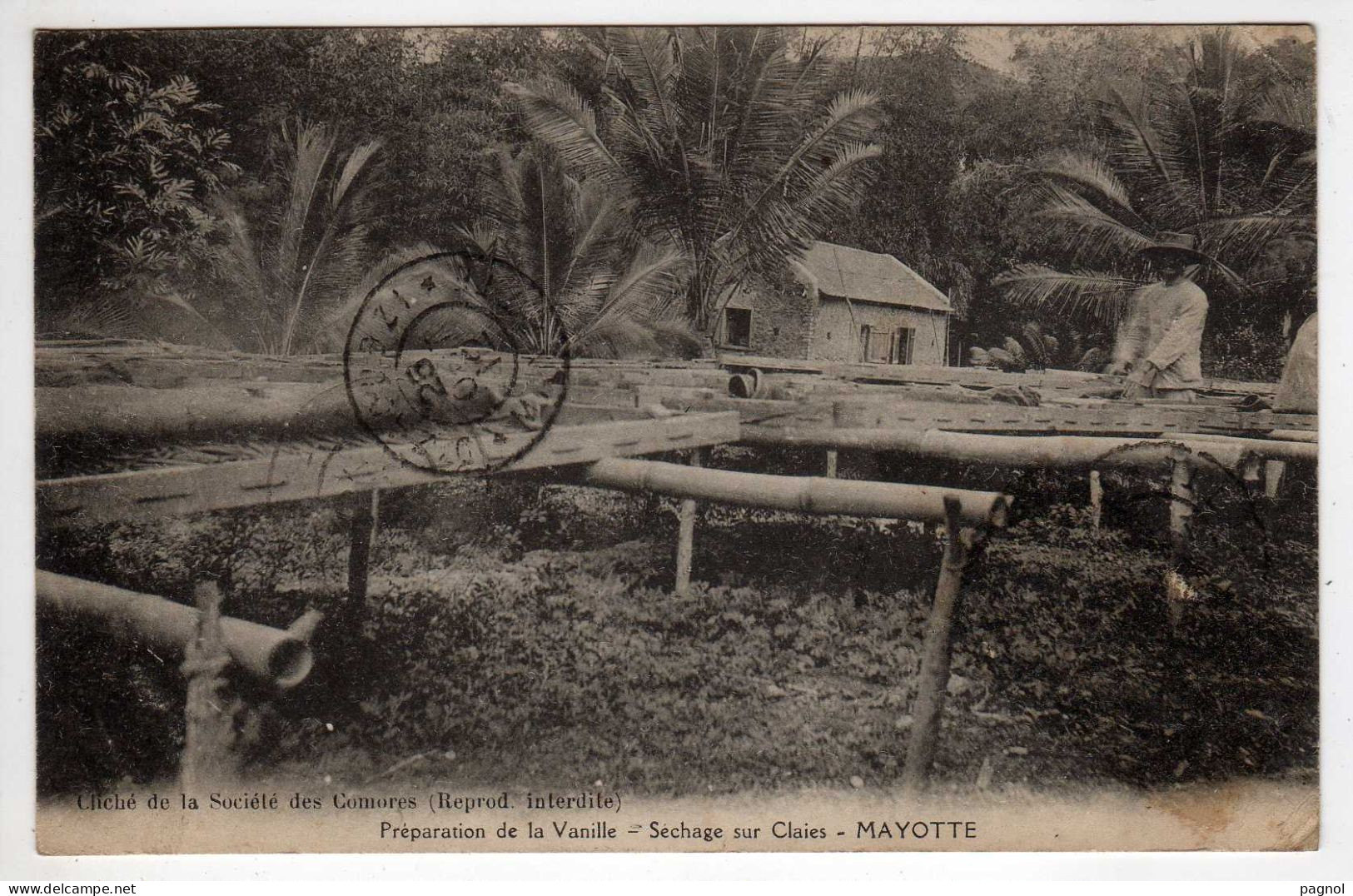 Mayotte : Préparation De La Vanille - Ohne Zuordnung