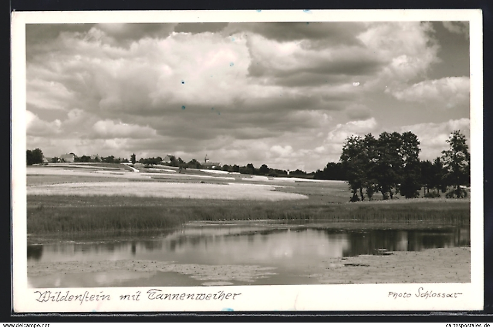 AK Wildenstein / Crailsheim, Teilansicht Mit Tannenweiher  - Crailsheim