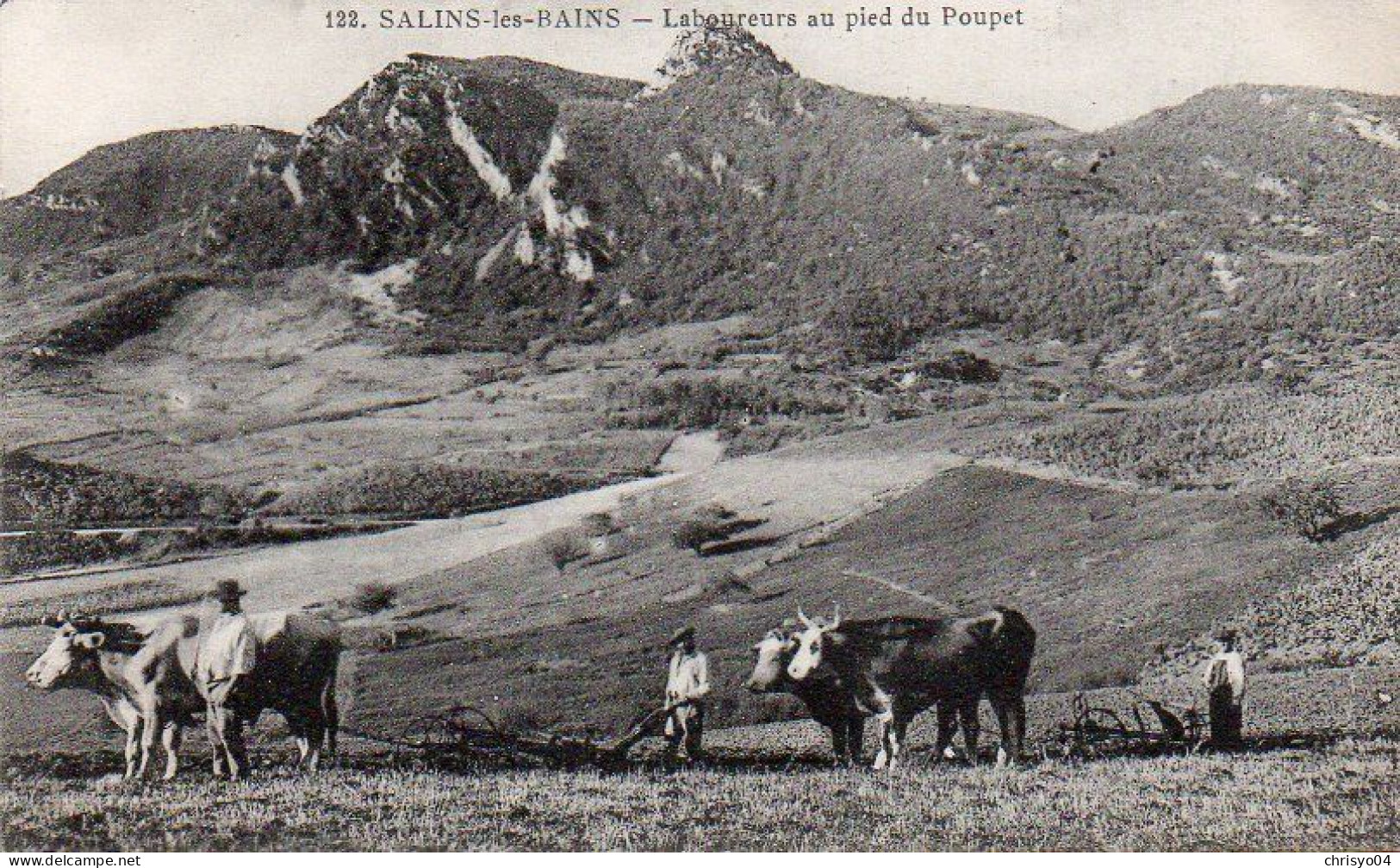 4V4Sb   39 Salins Les Bains Labourage Attelage Boeufs Au Pied Du Poupet - Autres & Non Classés