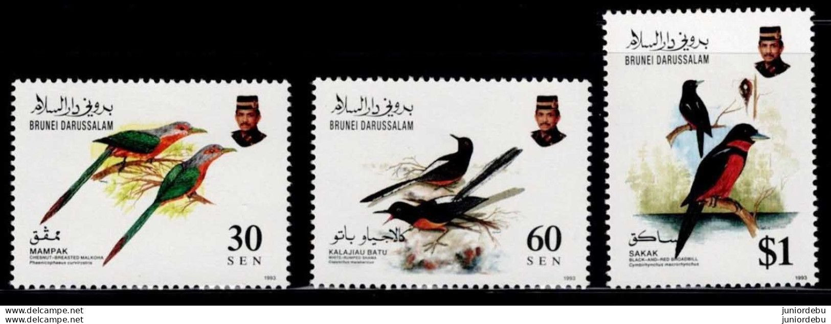 Brunei - 1993  - Birds - Set Of 3  - MNH. ( OL 08/01/2024) - Brunei (1984-...)