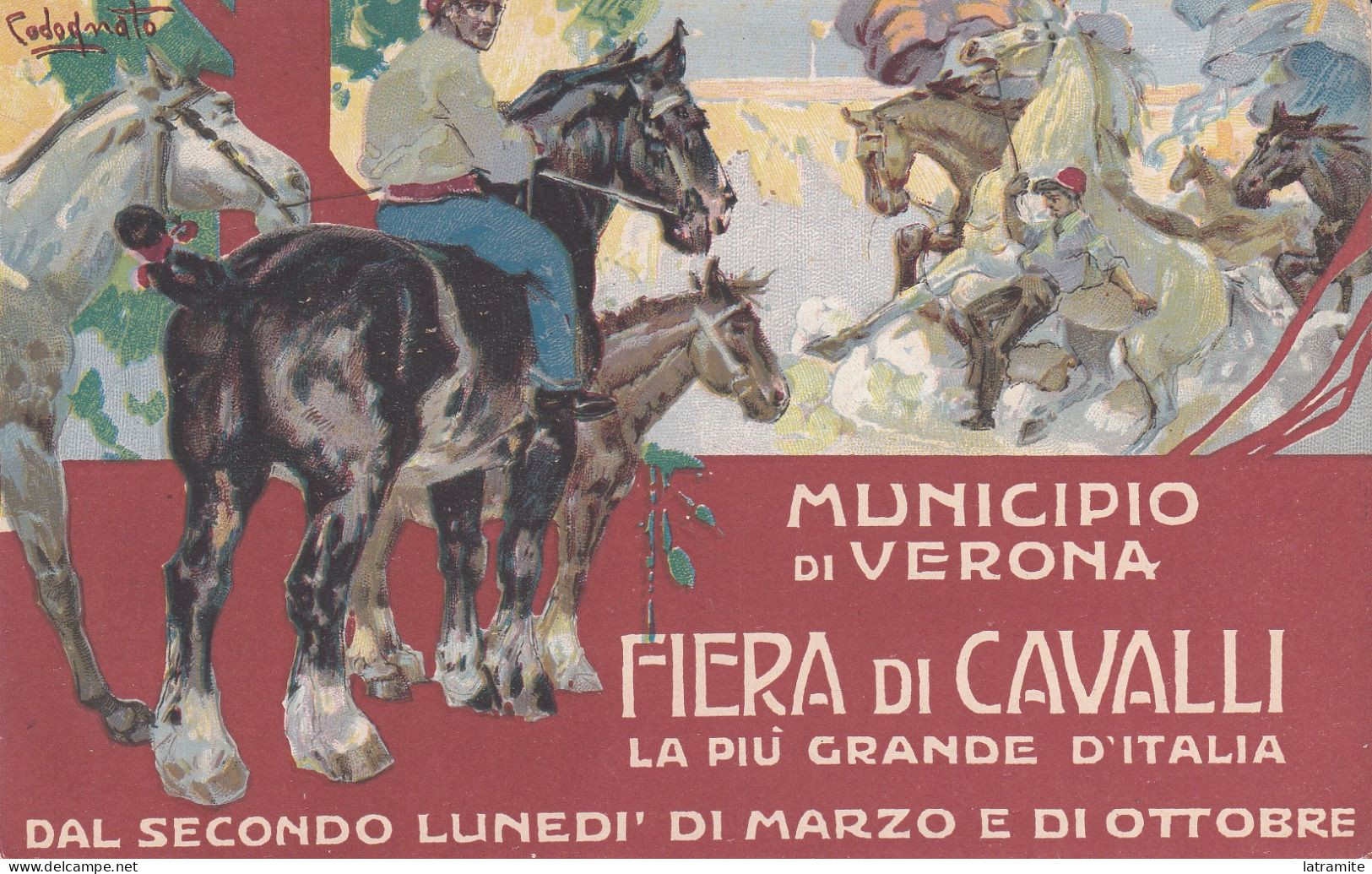 CODOGNATO - Cartolina Pubblicitaria Municipio Verona FIERA CAVALLI - Autres & Non Classés