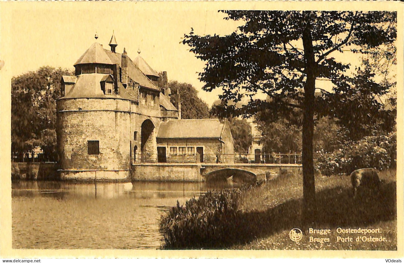 Belgique - Flandre Occidentale - Brugge - Bruges  - Porte D'Ostende - Brugge