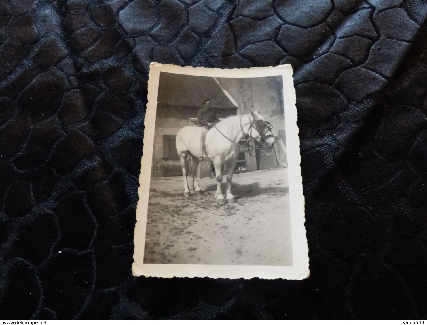 P-700 ,  Photo,  Commune De Deux-Chaises, Allier, Homme Chevauchant Un Percheron - Lieux