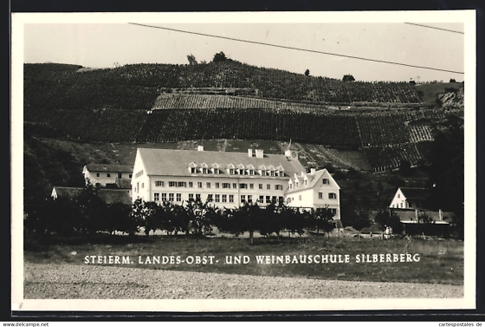 AK Silberberg /Steierm. Landes- Obst- Und Weinbauschule  - Altri & Non Classificati
