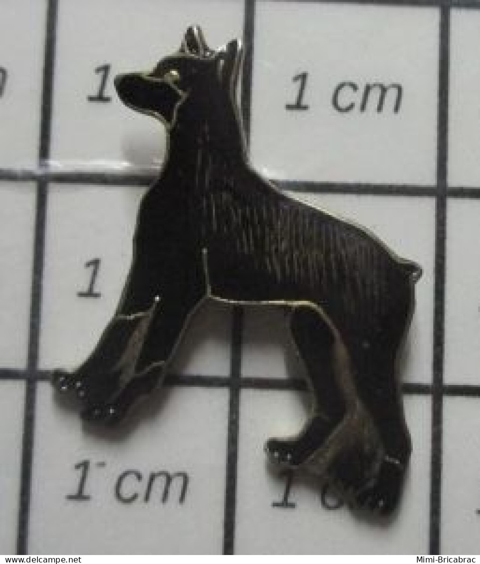 1818B Pin's Pins / Beau Et Rare / THEME : ANIMAUX / CHIEN NOIR DOBERMAN - Dieren