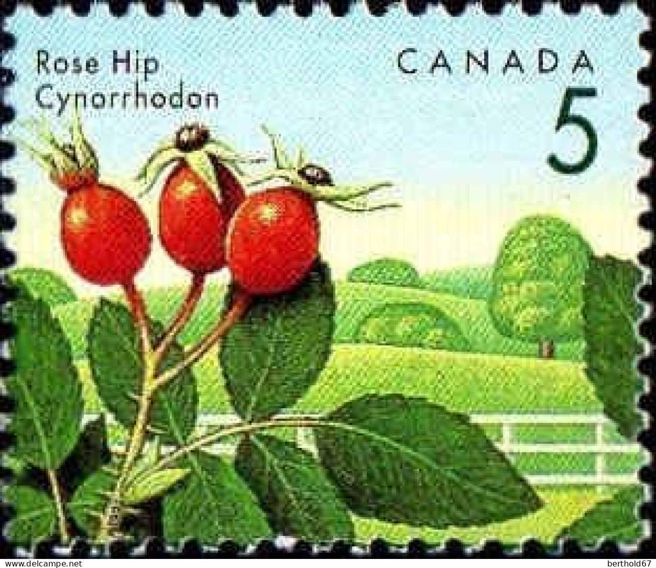 Canada Poste N** Yv:1262/1268 Baies Sauvages - Unused Stamps