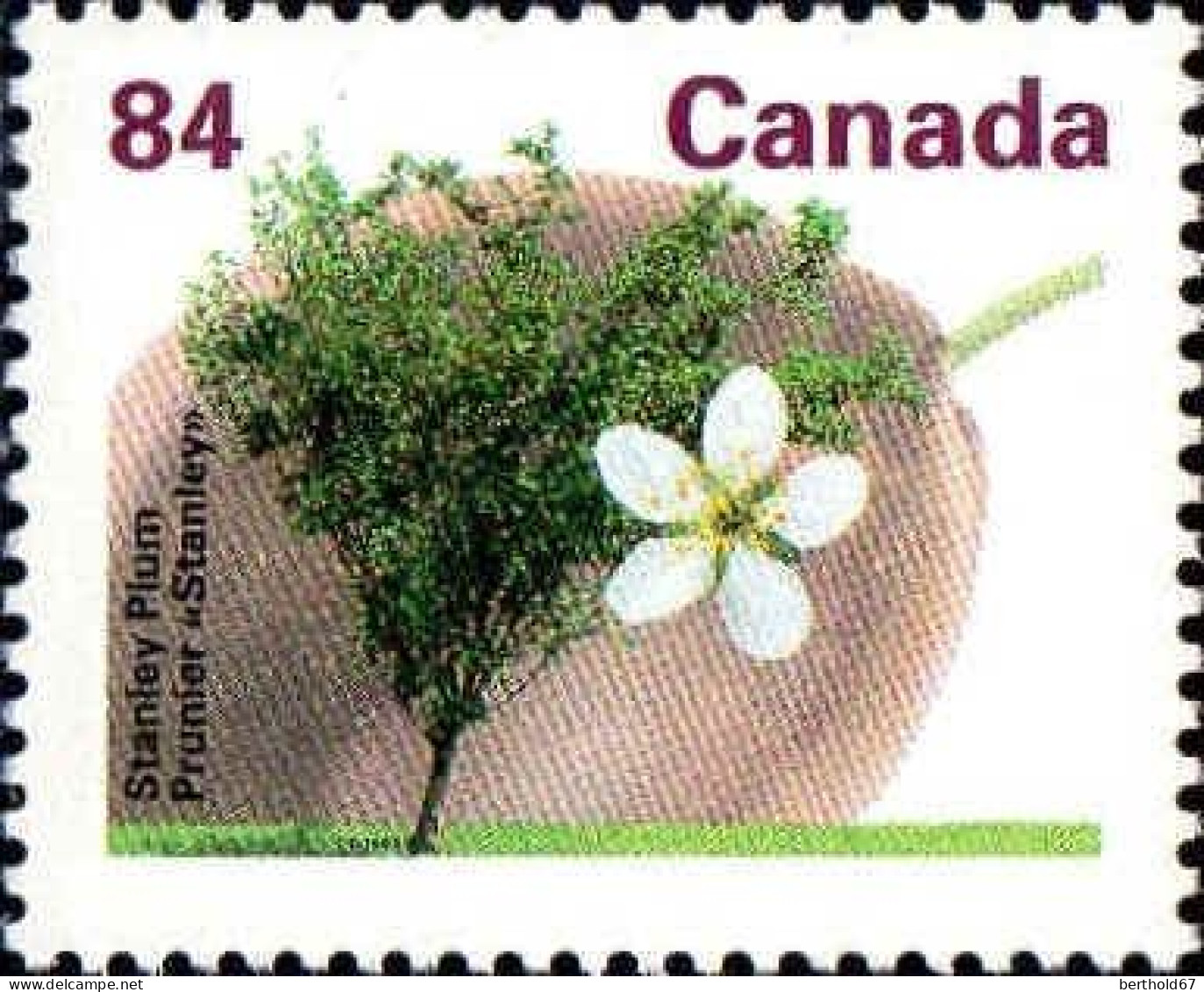 Canada Poste N** Yv:1227 Mi:1272A Stanley Plum Prunier Stanley - Neufs