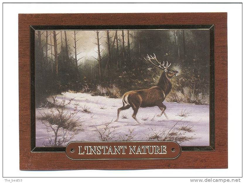 Etiquettes   De  Vin  -  L'Instant Nature  -  Thème Cerf - Deers