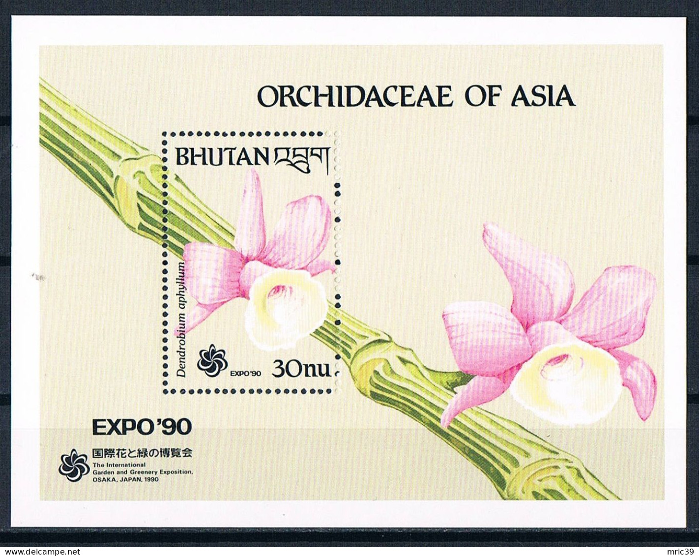 Bloc Sheet  Fleurs Orchidées Flowers Orchids  Neuf  MNH **  Bhutan 1990 - Orchidee