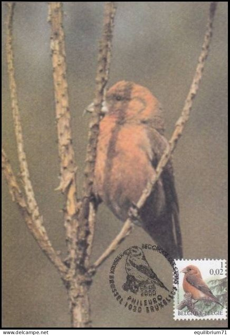 CM/MK - 2918° - Bec-croisé Des Sapins/Rode Kruisbek - BSL/BXL PHILEURO - 05-05-2000 - BUZIN - 1985-.. Birds (Buzin)
