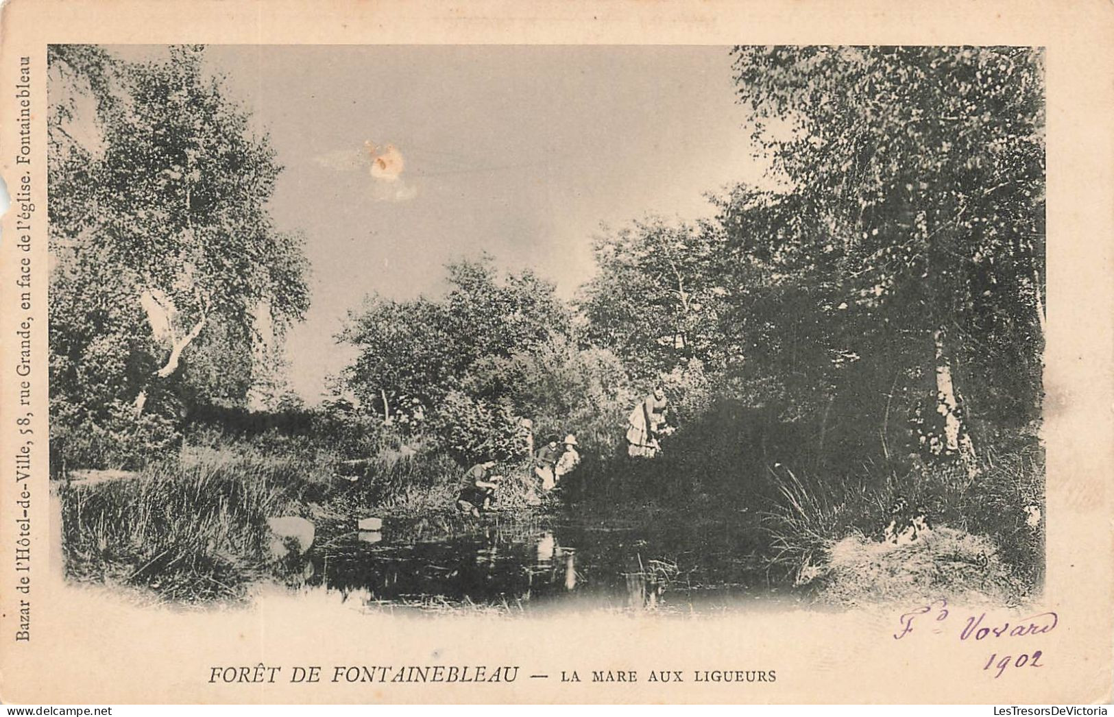 FRANCE - Fontainebleau - Forêt - La Mare Aux Ligueurs - Carte Postale Ancienne - Fontainebleau