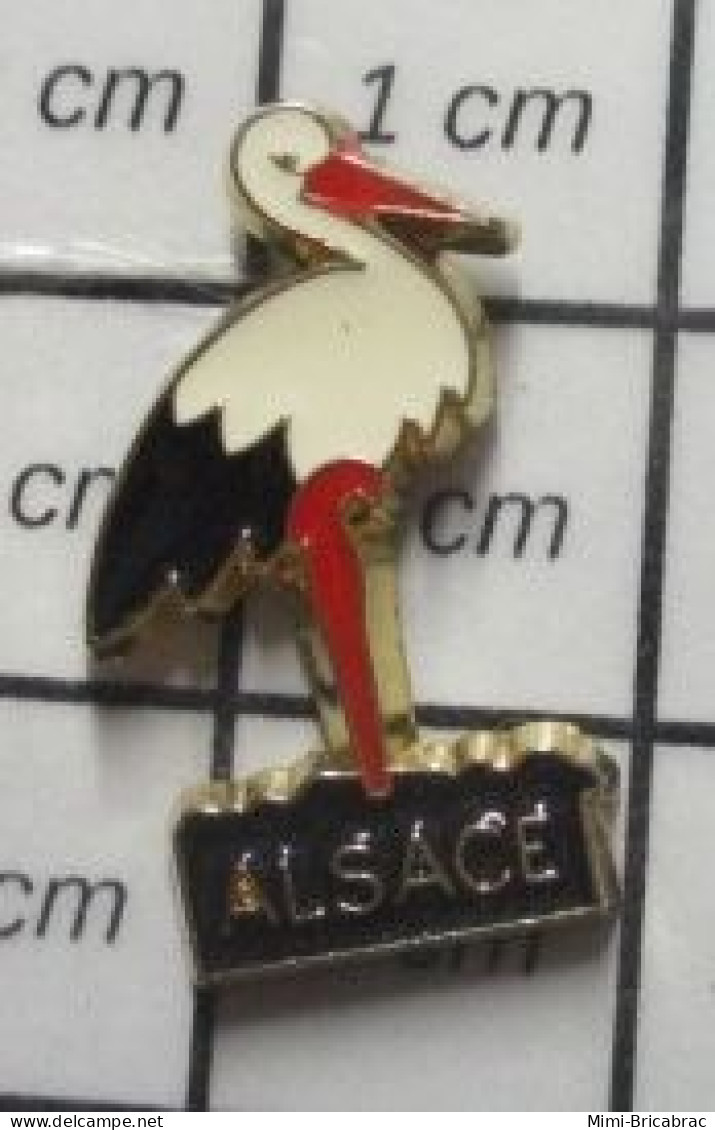 1818B Pin's Pins / Beau Et Rare / THEME : ANIMAUX / CIGOGNE NOIRE ET BLANCHE ALSACE OISEAU - Animaux