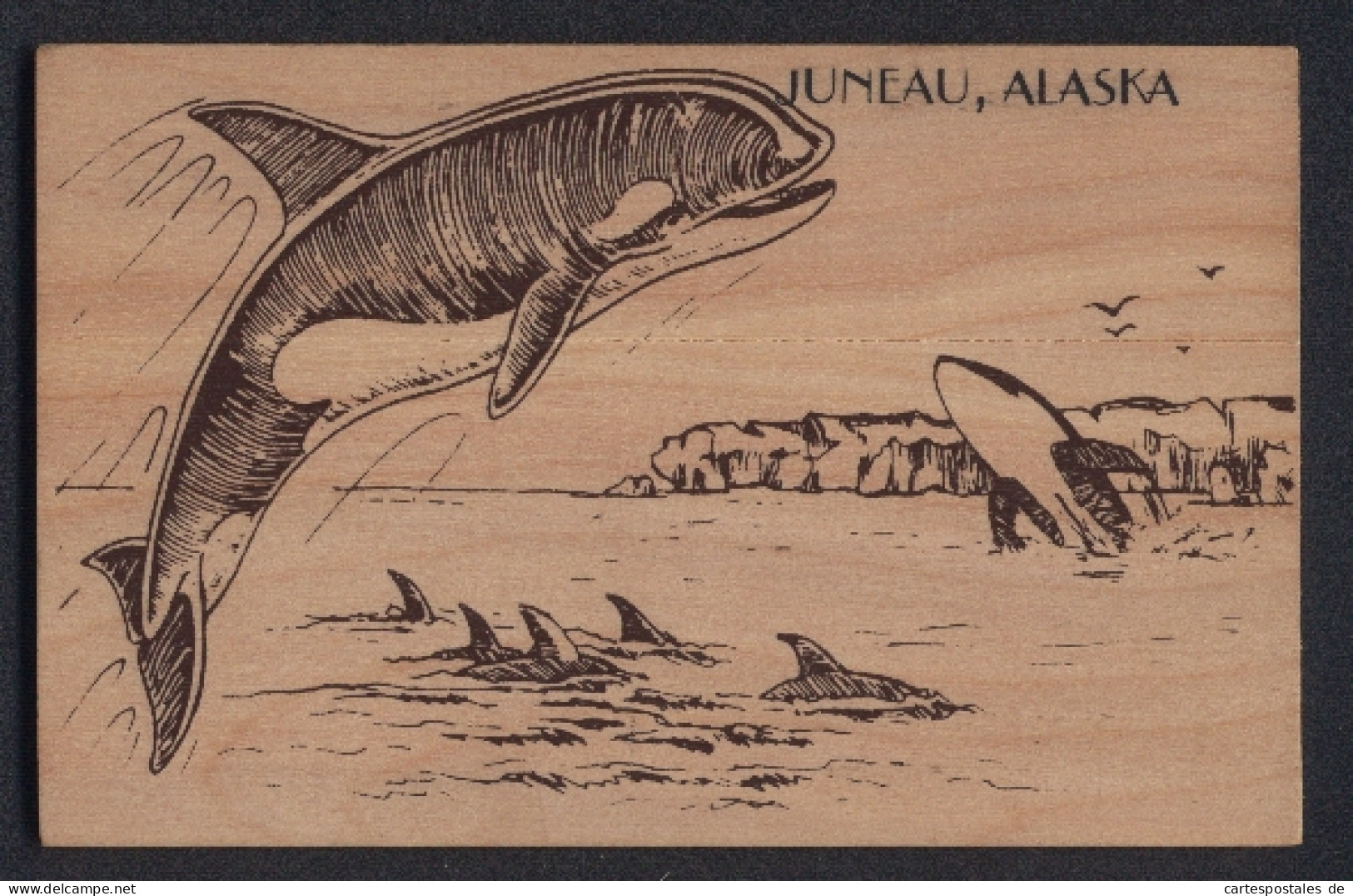 Holz-AK Juneau, Alaska, Wale Springen Aus Dem Meer  - Otros & Sin Clasificación