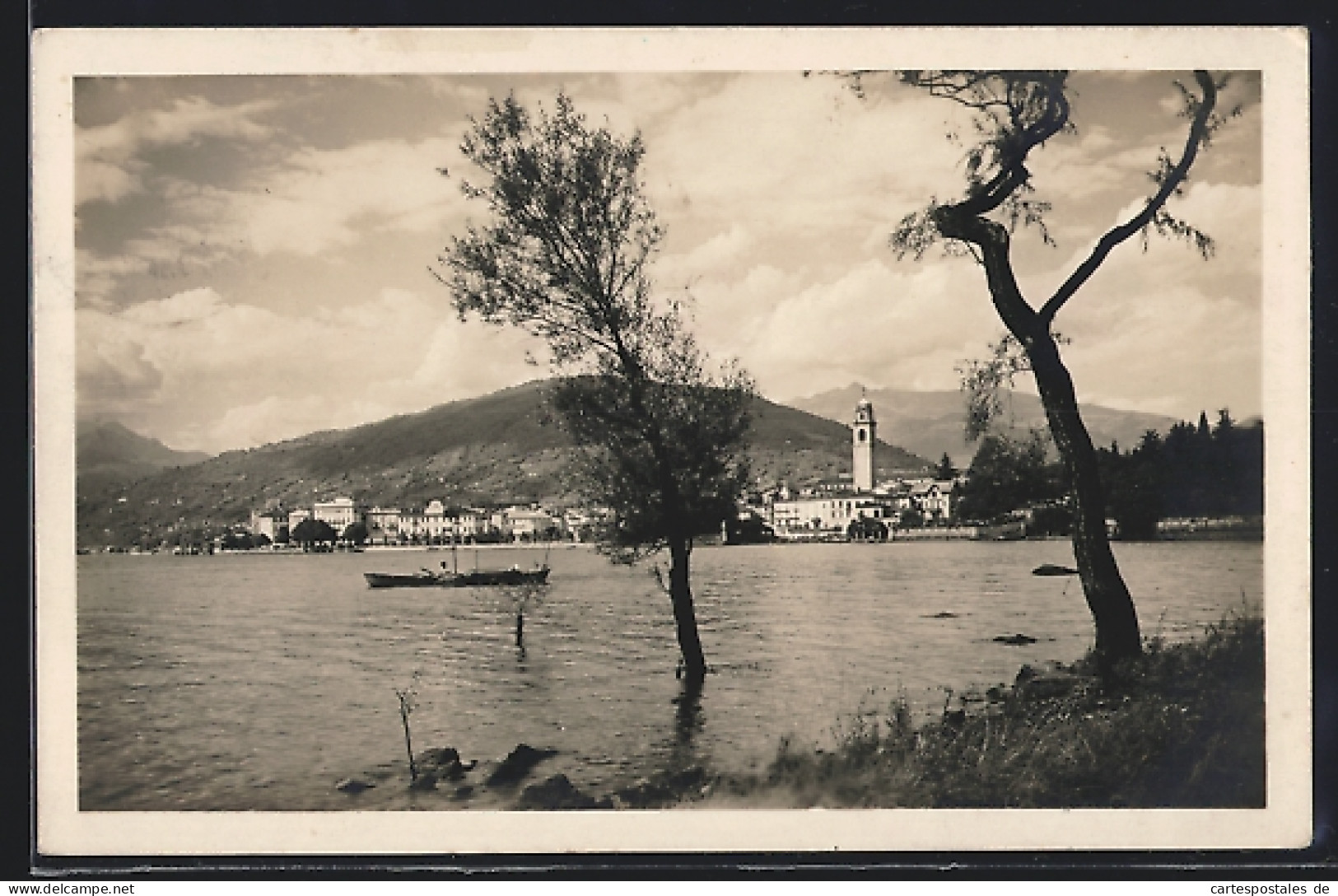 Cartolina Pallanza, Panorama, Lago Maggiore  - Sonstige & Ohne Zuordnung