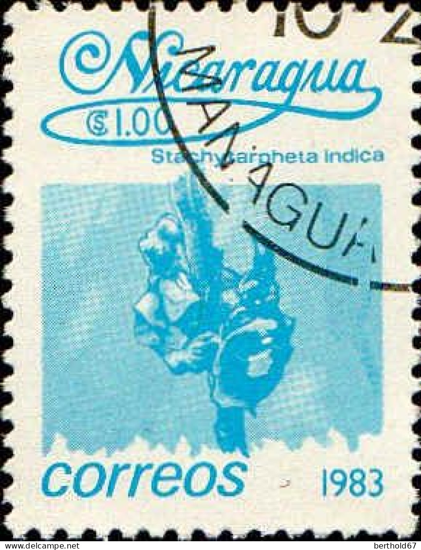 Nicaragua Poste Obl Yv:1257 Mi:2356 Stachytargheta Indica (TB Cachet Rond) - Nicaragua