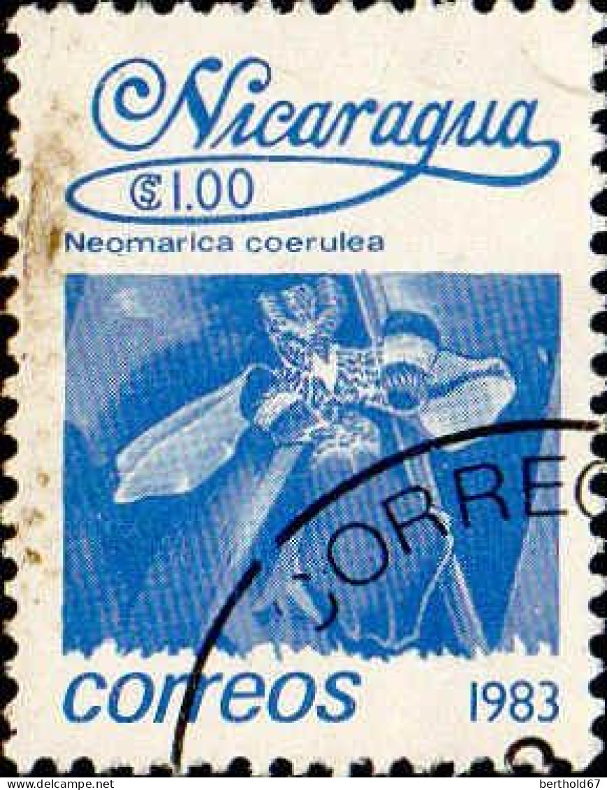 Nicaragua Poste Obl Yv:1250 Mi:2363 Neomarica Coerulea (TB Cachet Rond) - Nicaragua