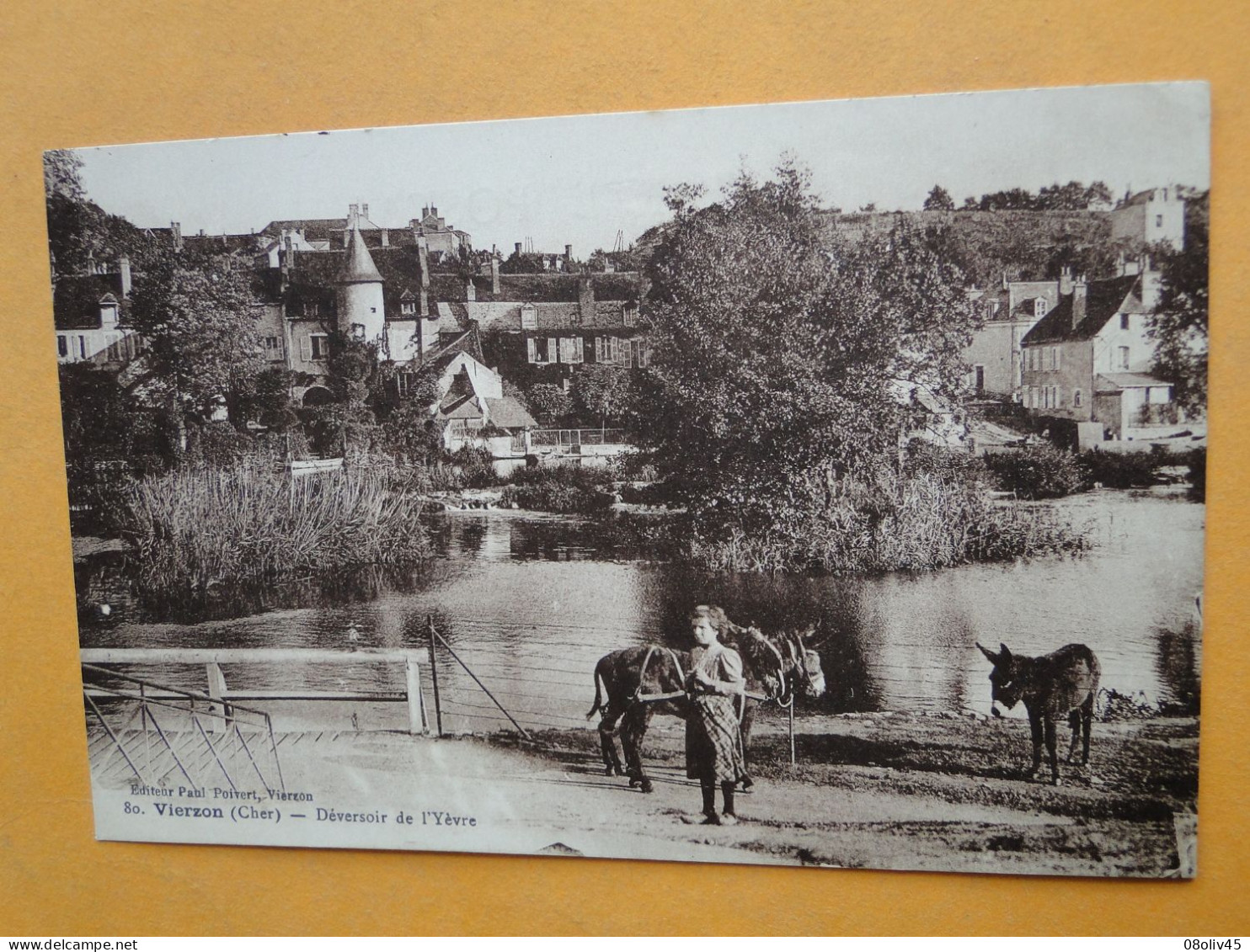 VIERZON -- Lot 2 Cpa ANIMEES - Le Déversoir De L'Yerre Et Les Bords Du Cher (pêcheurs) - Vierzon