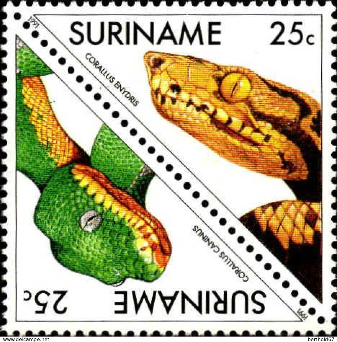 Suriname Poste N** Yv:1231/1242 Les Reptiles - Suriname