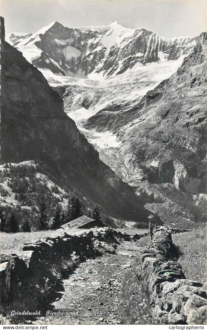 Postcard Switzerland Grindelwald Fiescherwand - Sonstige & Ohne Zuordnung