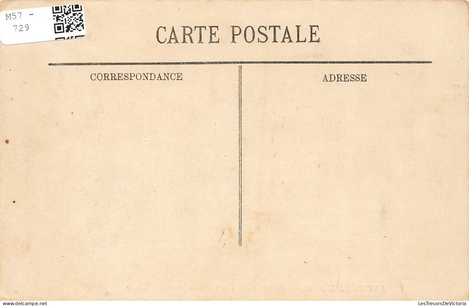 FRANCE - Environs D'Albi - Ambialet - Vue Générale Prise Du Château - Carte Postale Ancienne - Albi