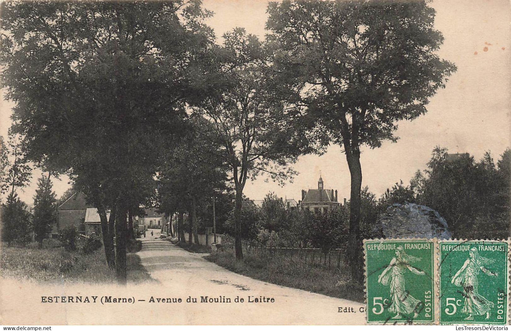 FRANCE - Esternay - Avenue Du Moulin De Laitre - Carte Postale Ancienne - Esternay