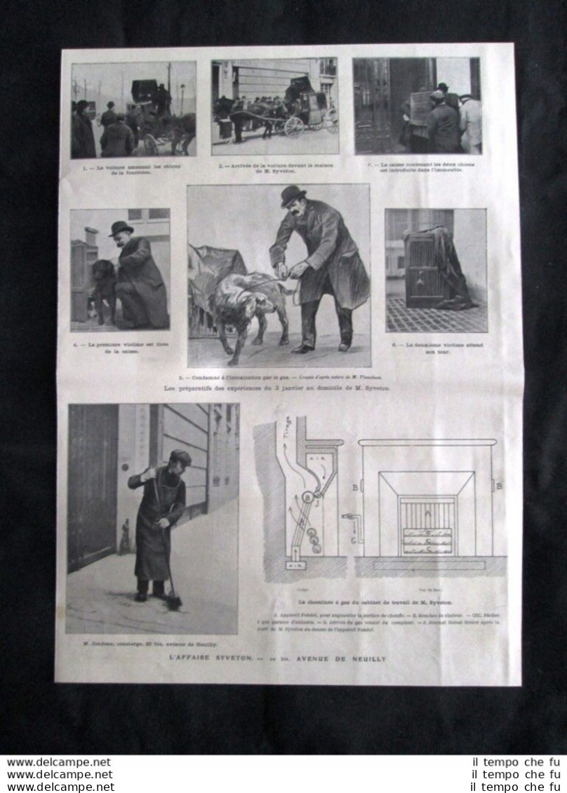 Il Caso Syveton: Trasporto Dei Cani Al Canile  Stampa Del 1905 - Andere & Zonder Classificatie