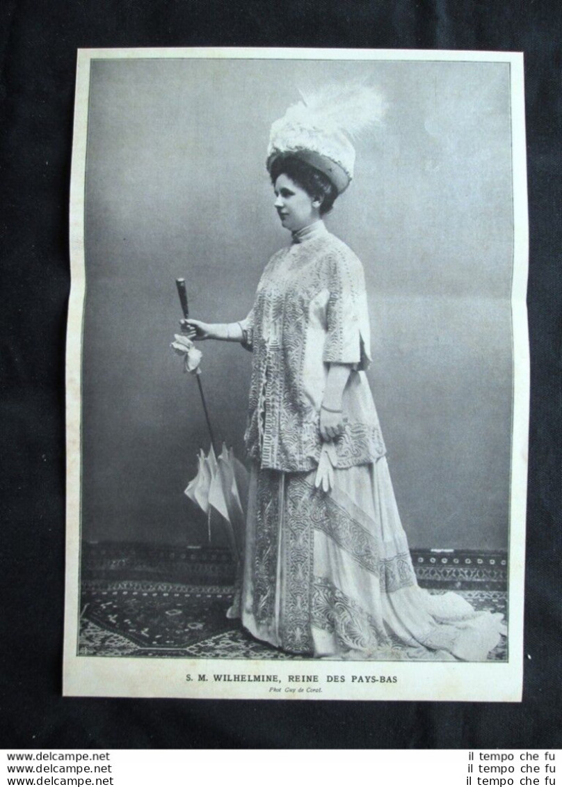 Sua Maestà La Regina Guglielmina D'Olanda Nel 1909 Stampa Del 1909 - Andere & Zonder Classificatie