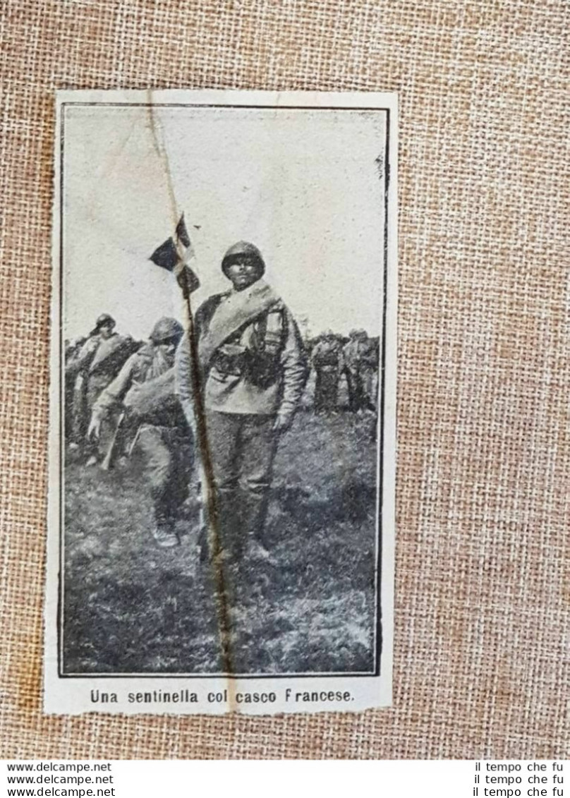 Sentinella Di Russia Con Casco Francese Nel 1917 WW1 Prima Guerra Mondiale - Andere & Zonder Classificatie