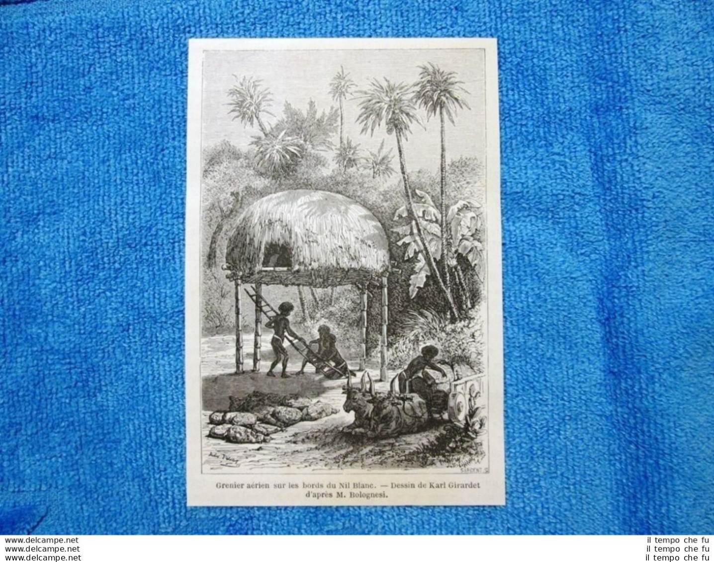 Gravure Année 1862 - Grenier Sur Les Bords De Nil Blanc - Soffitta Nilo Bianco - Before 1900