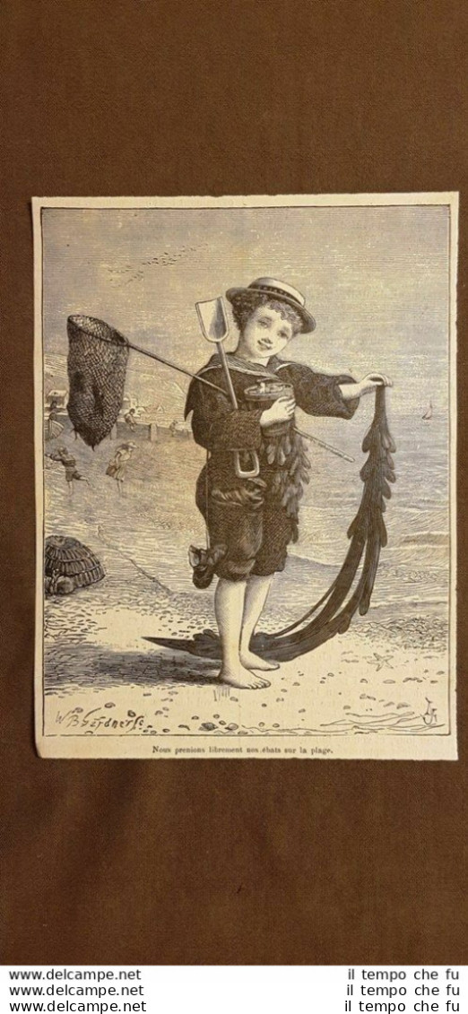 Bambino In Costume Tipico Da Mare Nella Seconda Metà Dell'800 Moda In Francia - Ante 1900