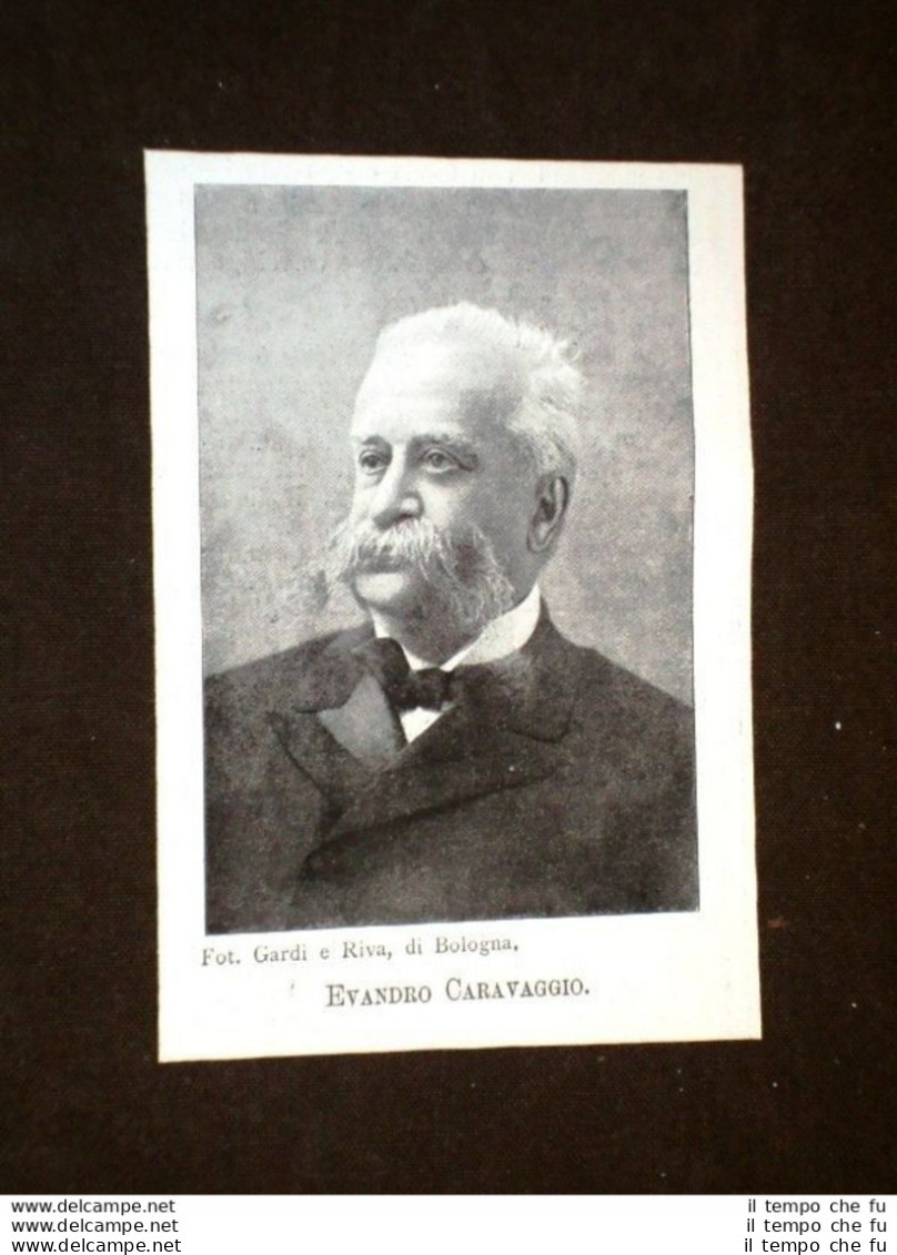 Onorevole Evandro Caravaggio Senatore Nel 1901 - Before 1900