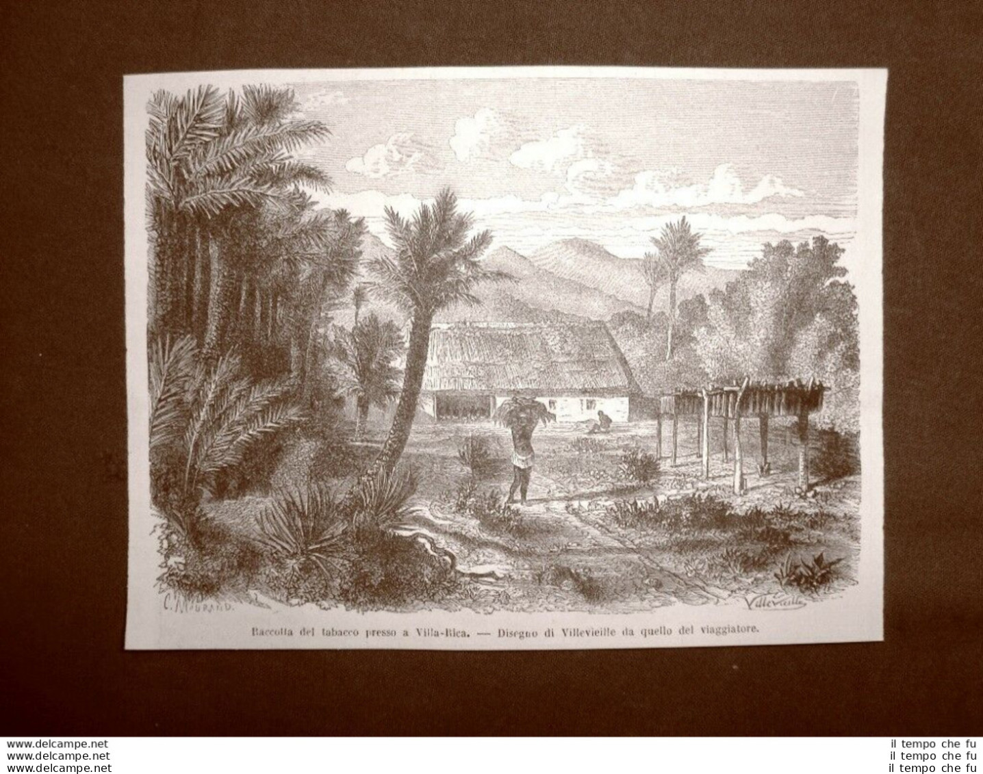 Villa Rica Nel 1863 La Raccolta Del Tabacco Colombia - Voor 1900