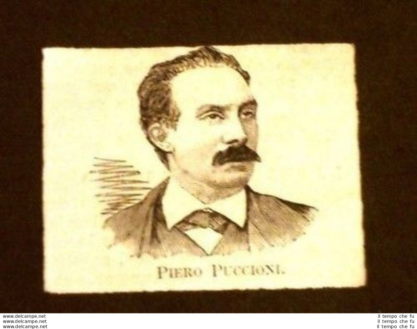 Senatore Piero Puccioni Di Firenze - Before 1900