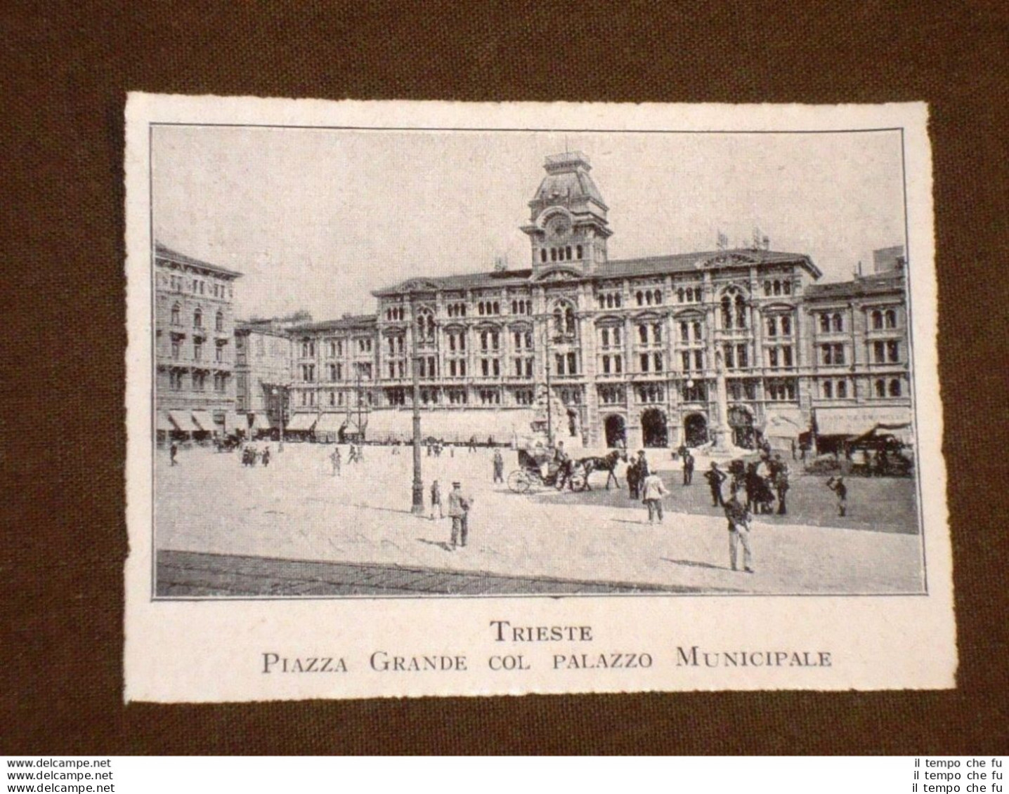 Rara Stampa Dei Primi Del 1900 Piazza Grande E Palazzo Municipale - Trieste - Sonstige & Ohne Zuordnung