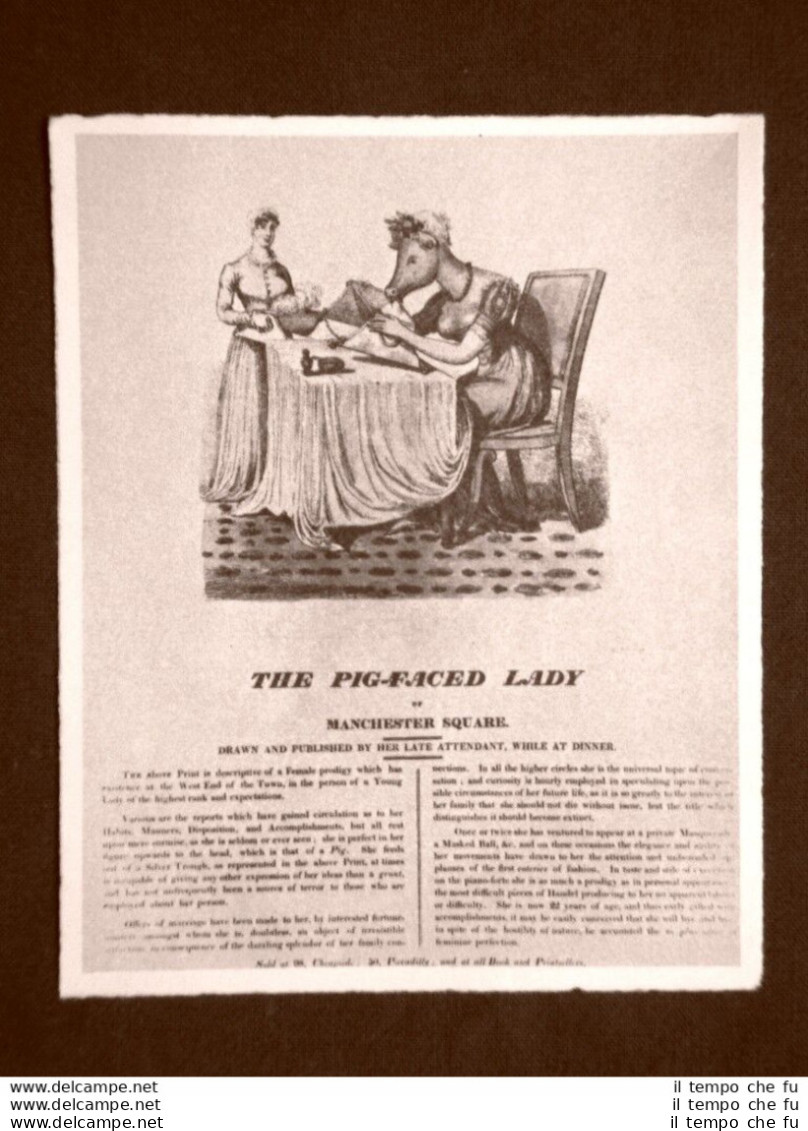 Donna Faccia Di Porco Di Manchester Square Stampa Popolare Inglese Inghilterra - Other & Unclassified