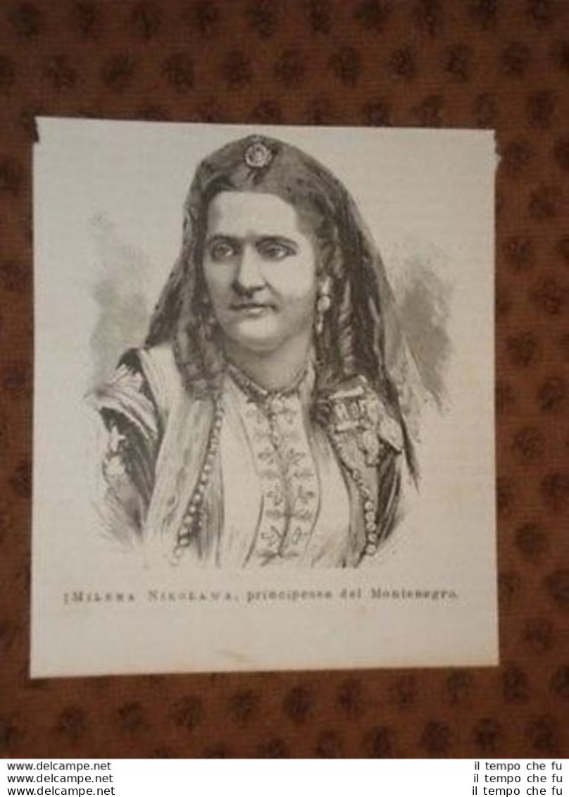 Milena Nikolawa Principessa Del Montenegro In Serbia - Before 1900