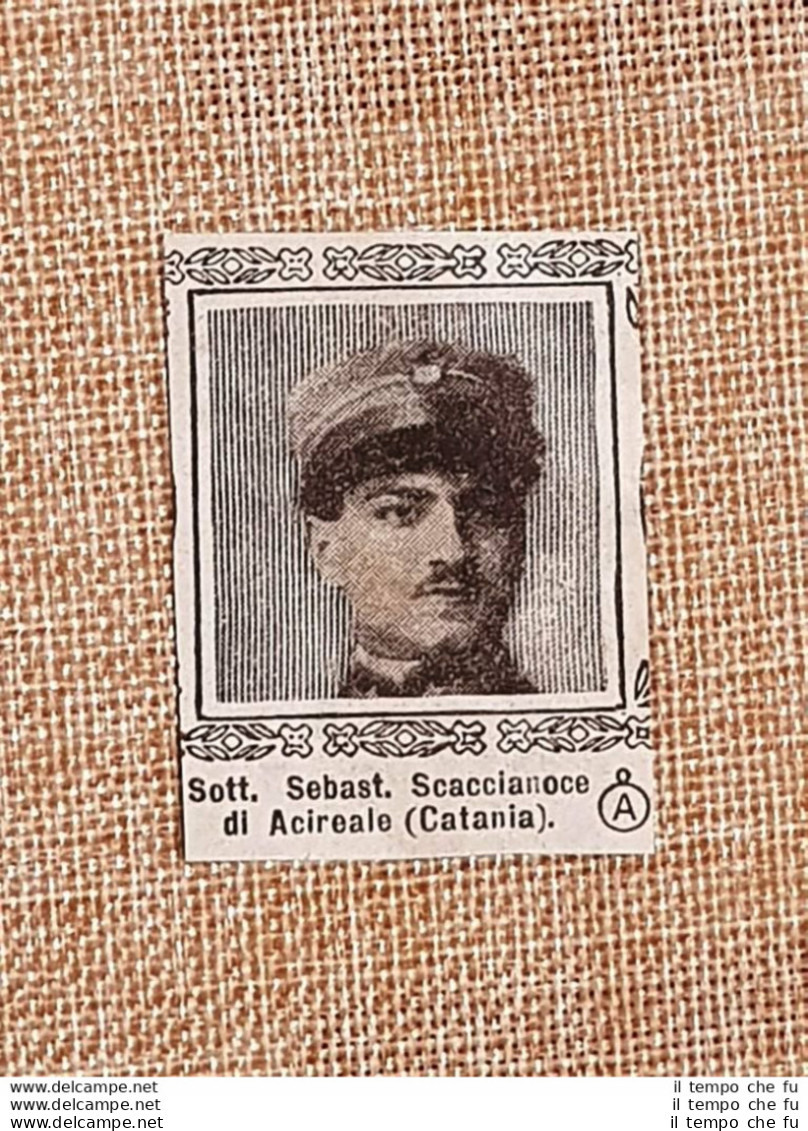 Decorato Medaglia Argento Sebastiano Scaccianoce Di Acireale Guerra Mondiale WW1 - Sonstige & Ohne Zuordnung