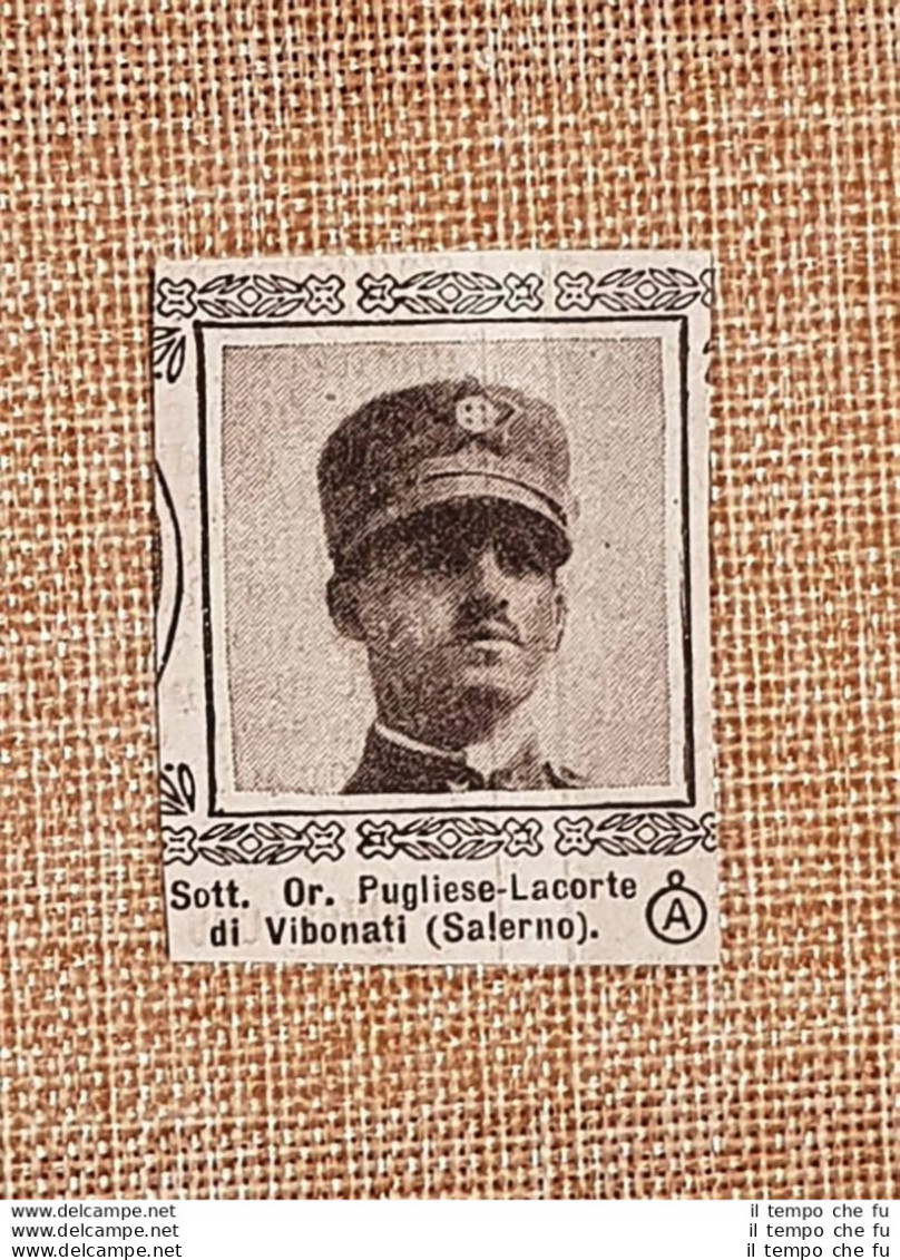 Decorato Con Medaglia D'argento Pugliese-Lacorte Di Vibonati Guerra Mondiale WW1 - Other & Unclassified