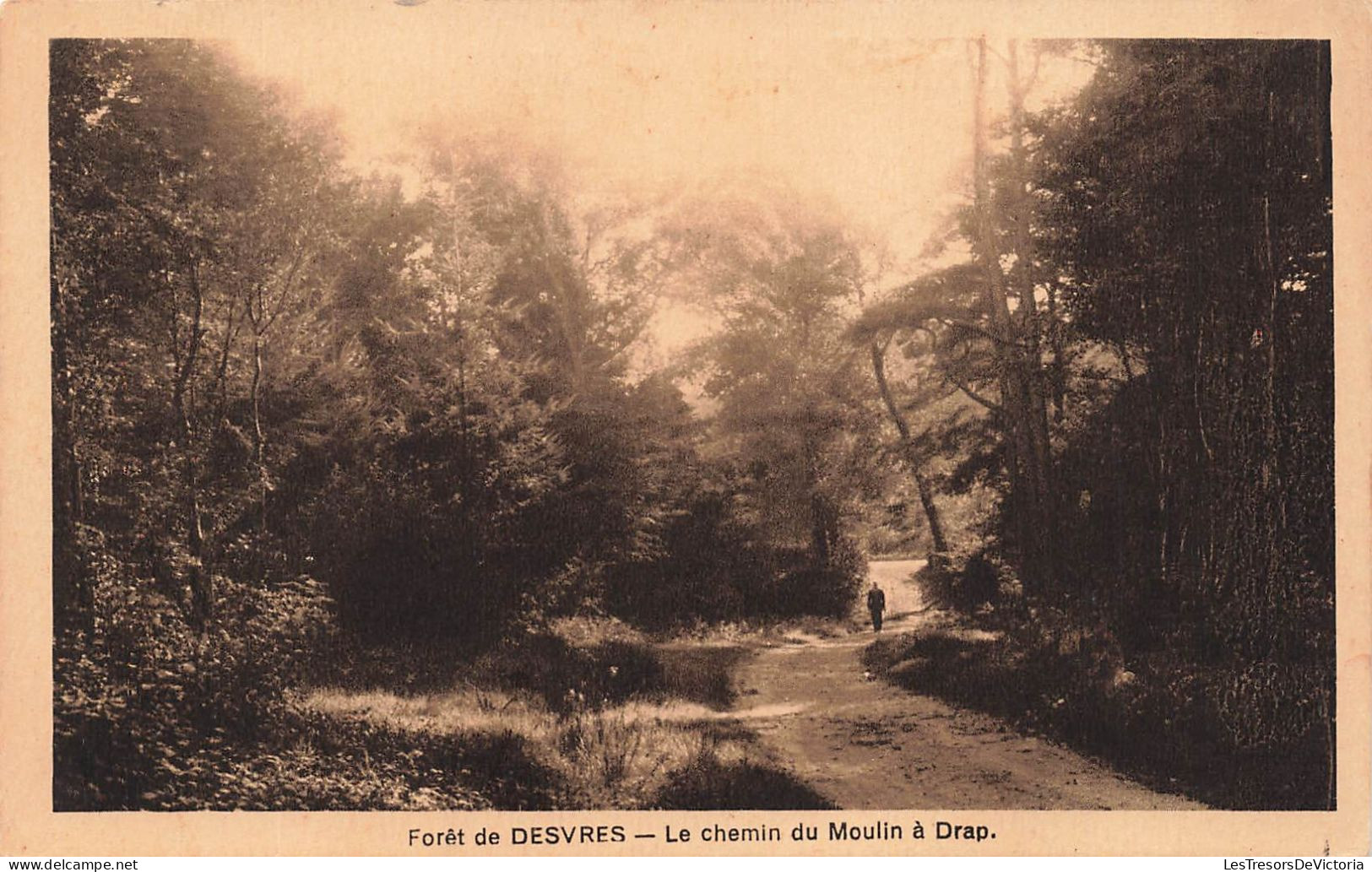 FRANCE - Desvres - Forêt - Le Chemin Du Moulin à Drap - Carte Postale Ancienne - Desvres