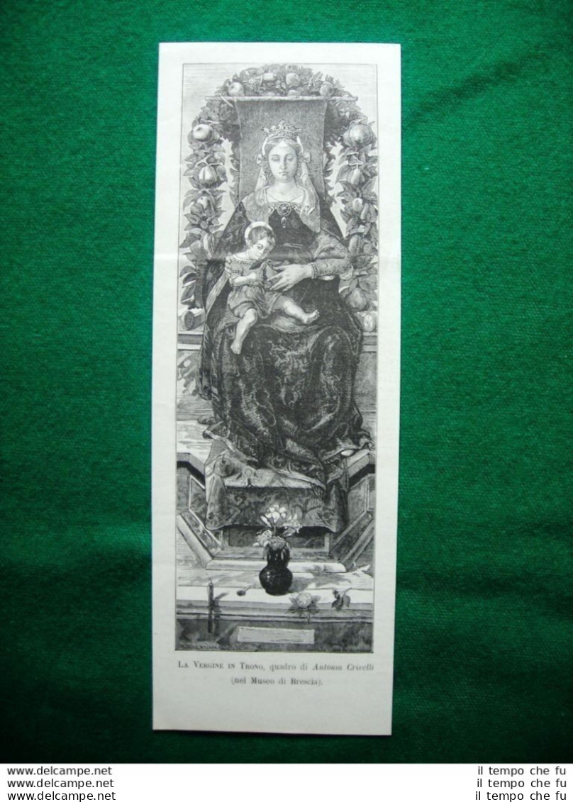 Museo Di Brescia 1884 - La Vergine In Trono, Quadro Di Antonio Crivelli - Ante 1900