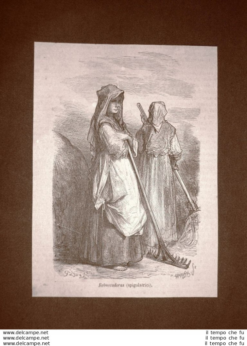 Incisione Di Gustave Dorè Del 1874 Moda Costume Rebuscadoras Spigolatrici Spagna - Ante 1900