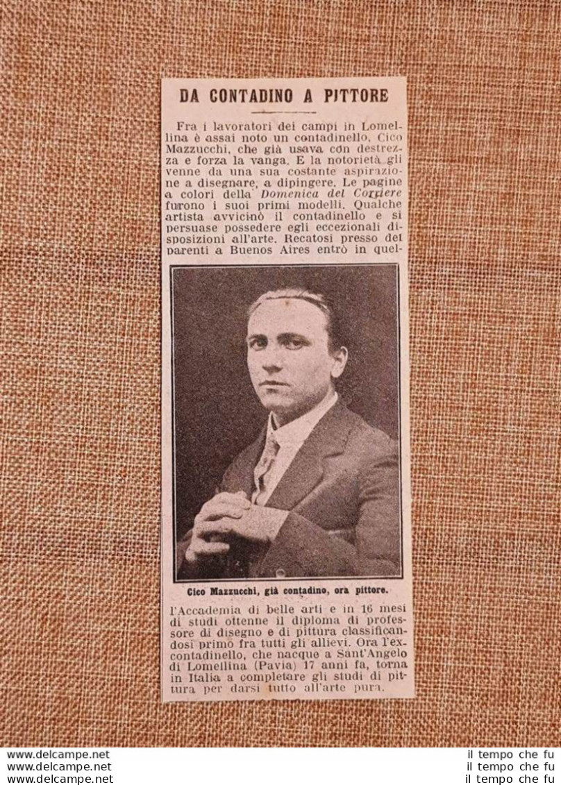 Cico Mazzucchi Della Lomellina Nel 1914 Da Contadino A Pittore - Otros & Sin Clasificación