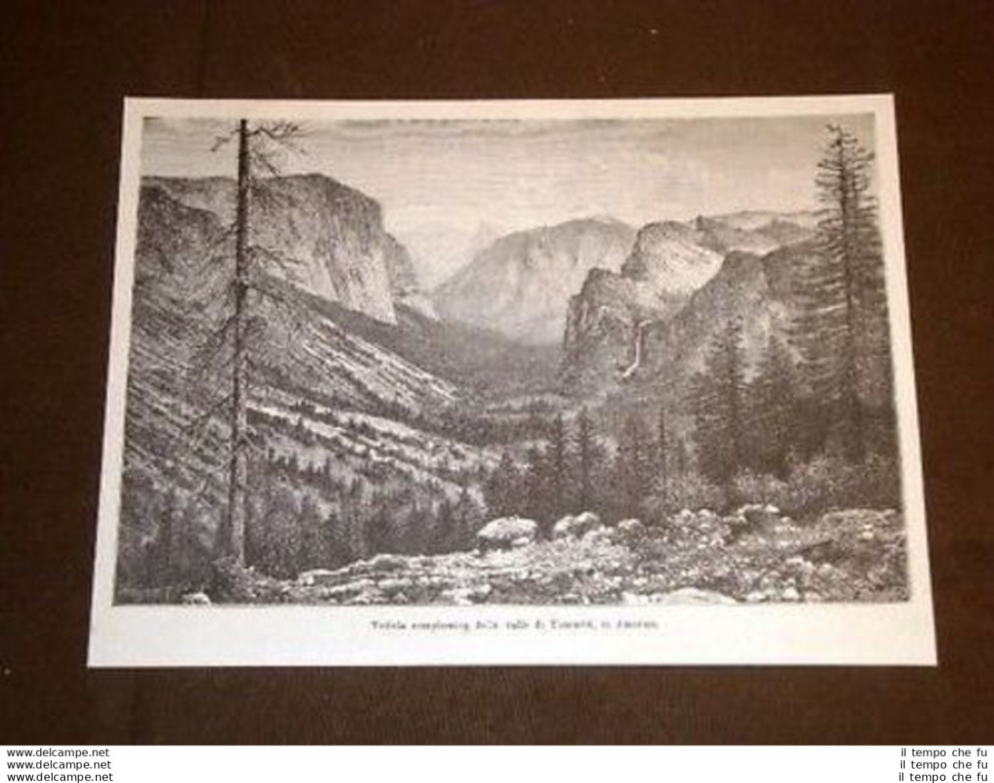 Parco Nazionale Di Yosemite Veduta Della Vale America - Voor 1900