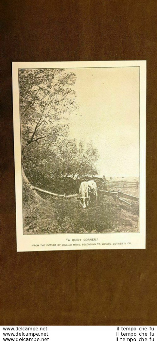 A Quiet Corner O Un Angolo Tranquillo Quadro Di William Maris Stampa Del 1888 - Vor 1900
