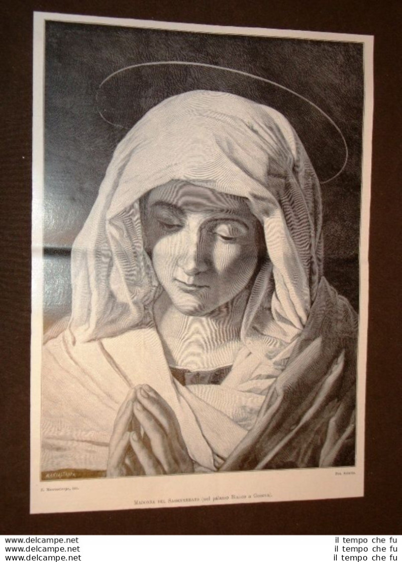 Madonna Del Sassoferrato Palazzo Bianco A Genova Nel 1904 - Altri & Non Classificati