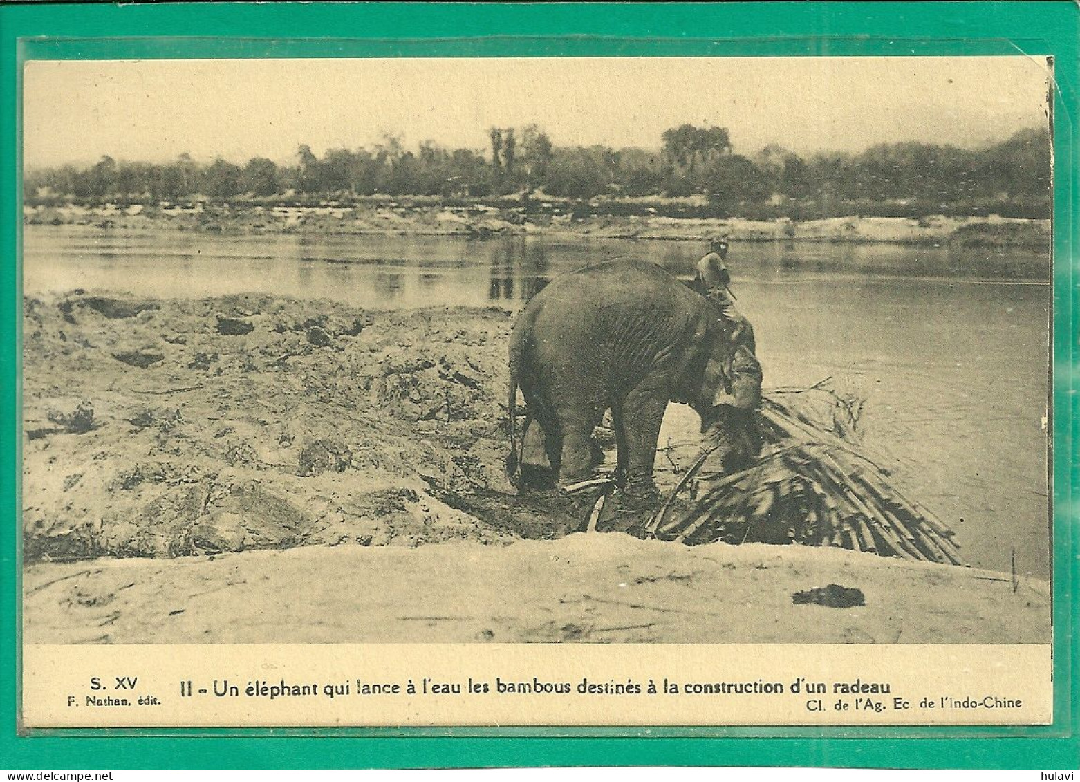 INDO-CHINE - UN ELEPHANT QUI LANCE A L' EAU LES BAMBOUS ..... (ref 2293) - Viêt-Nam