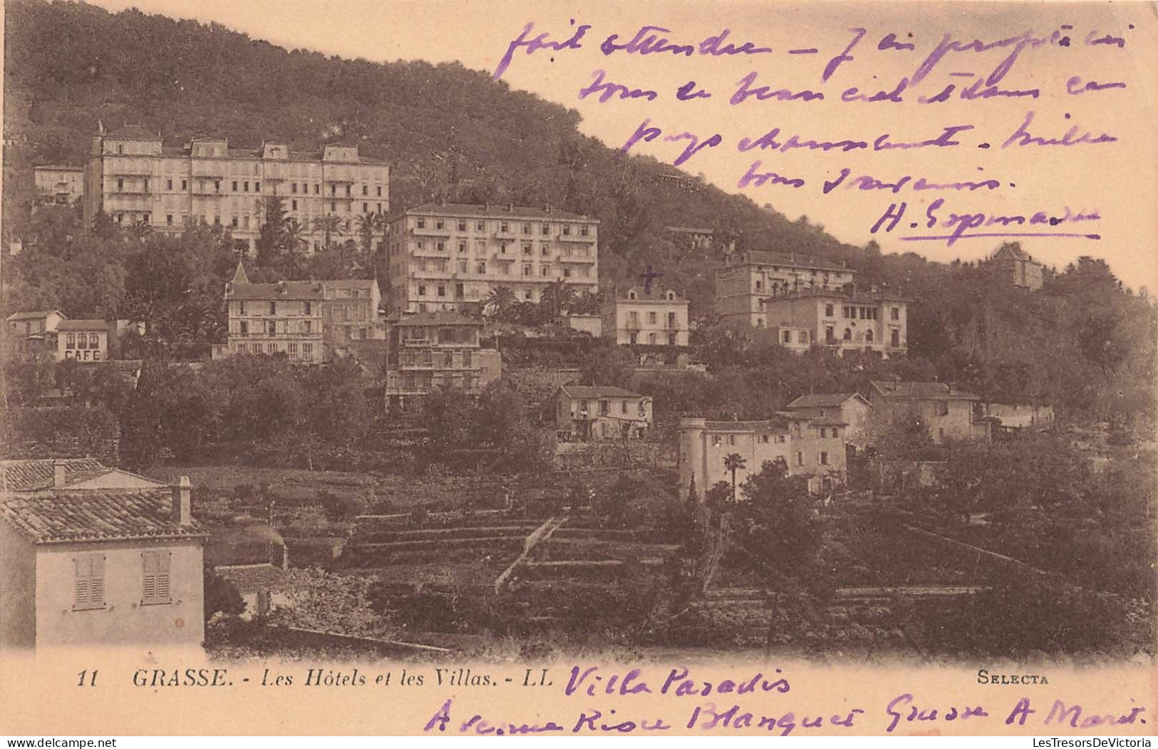 FRANCE - Grasse - Les Hôtels Et Les Villas - Carte Postale Ancienne - Grasse