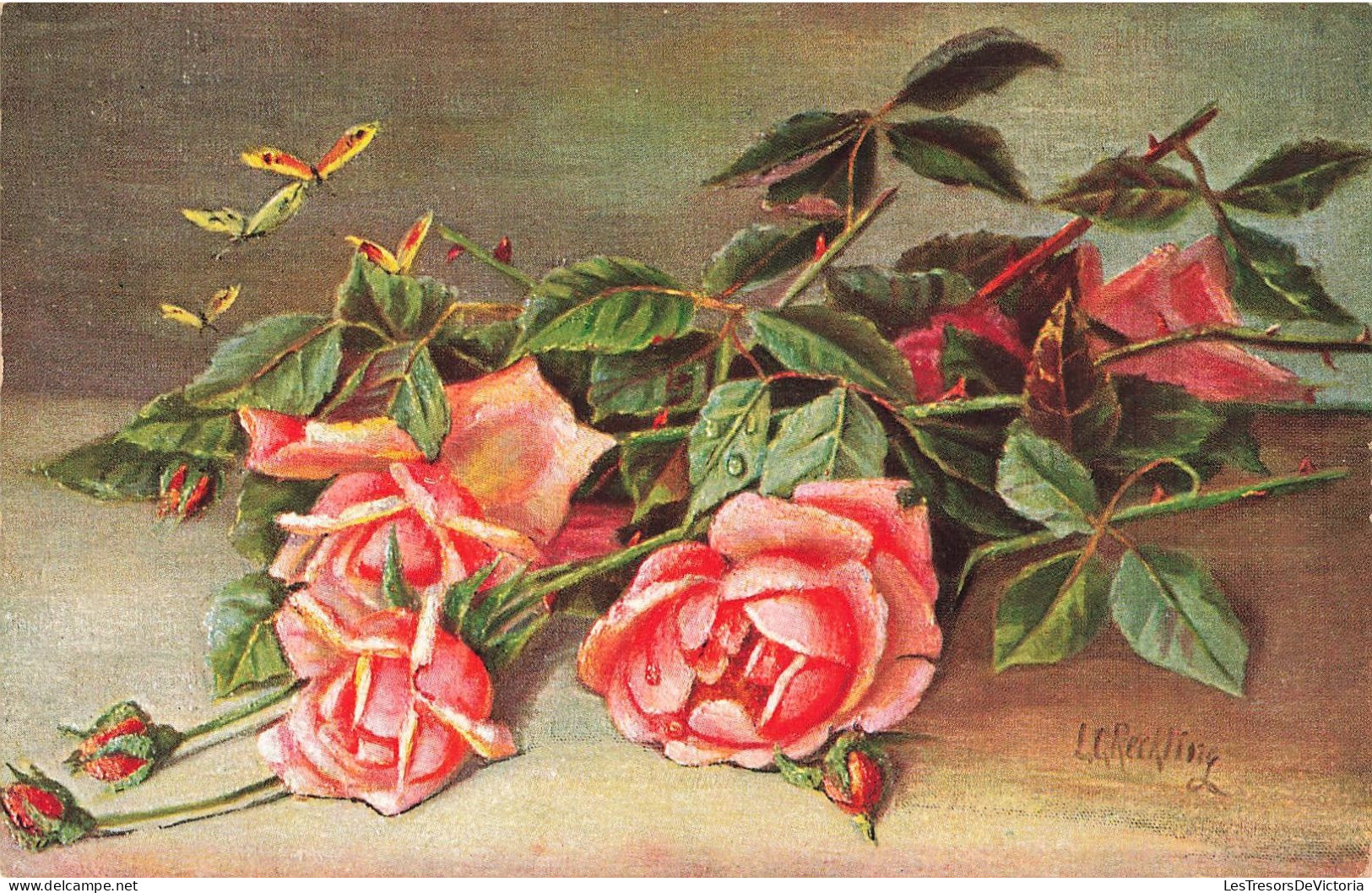 FLEURS - Des Roses Fraichement Cueillies - Colorisé - Carte Postale Ancienne - Fiori