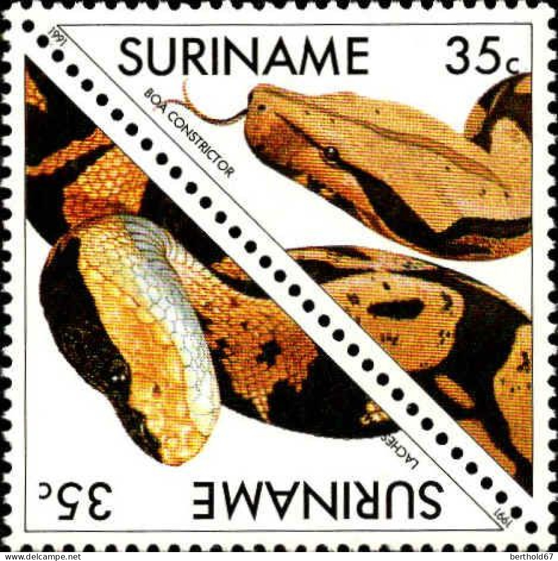Suriname Poste N** Yv:1231/1242 Les Reptiles - Serpents
