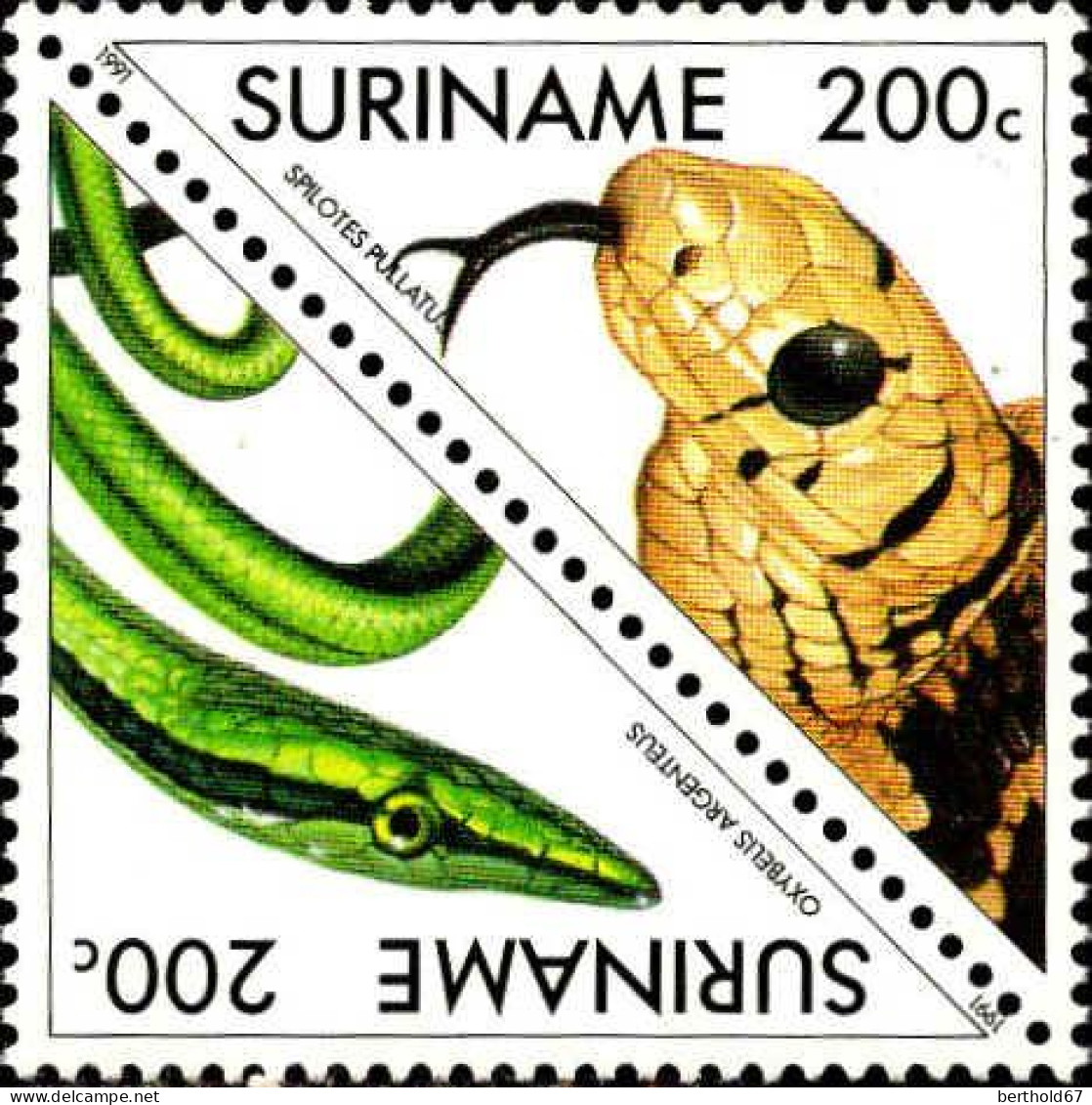 Suriname Poste N** Yv:1231/1242 Les Reptiles - Serpientes